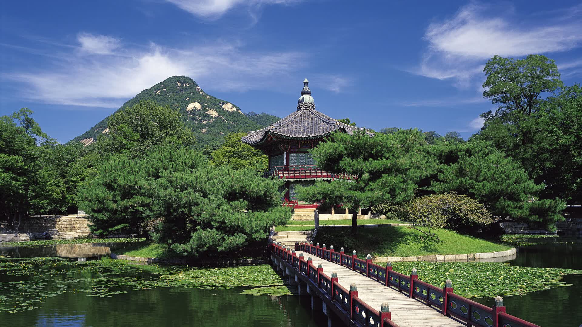 世界拳击锦标赛赛场医护响应时间创新纪录，世界拳击锦标赛冠军